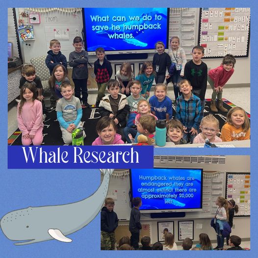  Whale Research